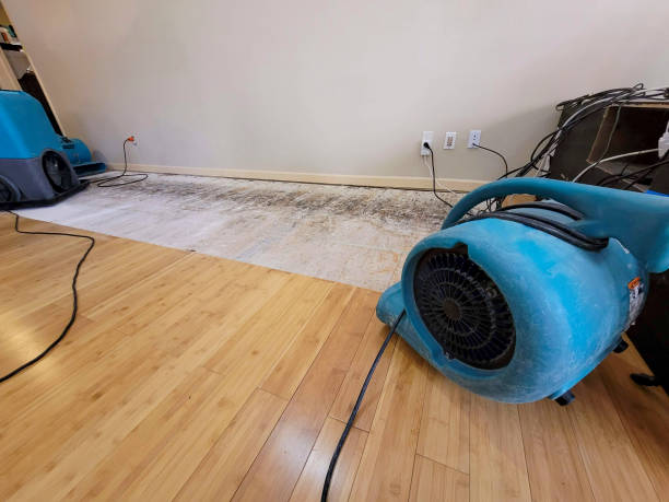 Reliable Basement Flood Cleanup contractor in Gloucester, MA by Hirex Water Damage