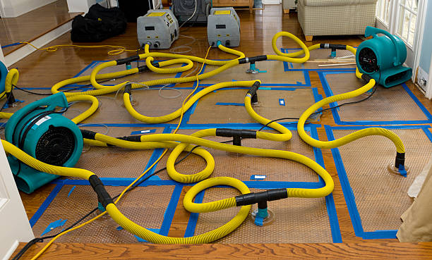 Professional Basement Flood Cleanup technician working in Gloucester, MA